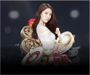 Chương trình VIP DG88